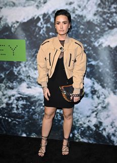 Demi Lovato feet photo 15