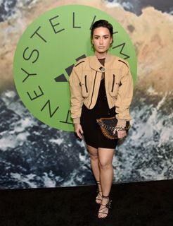 Demi Lovato feet photo 14