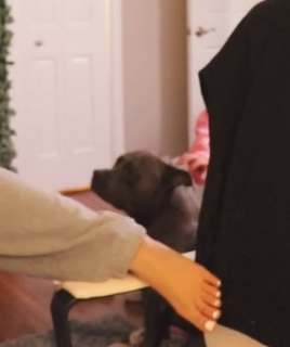 Demisux feet photo thumbnail