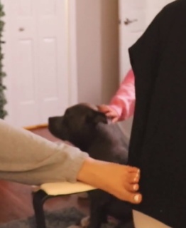 Demisux feet photo thumbnail