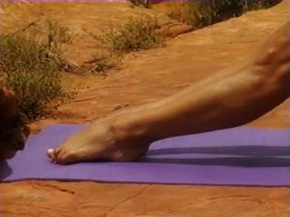 Denise Austin feet photo thumbnail