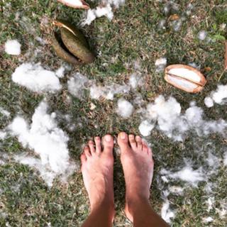 Denise Fraga feet photo 3