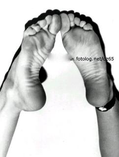 Denise Fraga feet photo 17