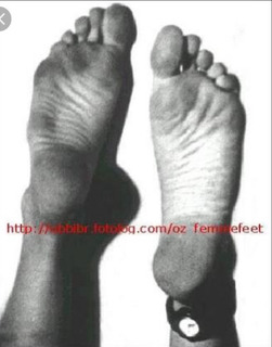 Denise Fraga feet photo 4