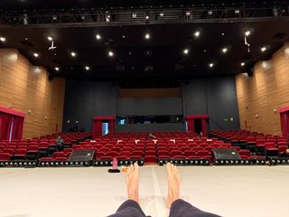 Denise Fraga feet photo 2