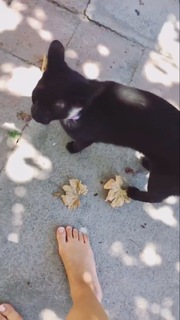 Denise Rosenthal feet photo 1