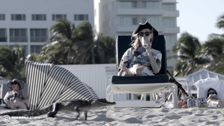 Desi Lydic feet photo thumbnail