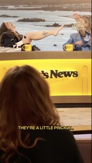 Desi Lydic feet photo 3