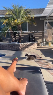 Dessie Mitcheson feet photo 20