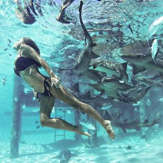 Devin Brugman feet photo thumbnail