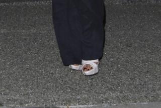 Devon Aoki feet photo thumbnail