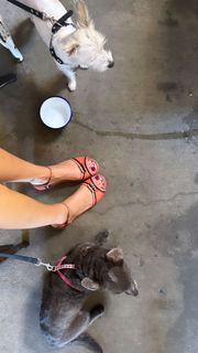 Devon Lee Carlson feet photo thumbnail