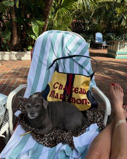 Devon Lee Carlson feet photo thumbnail