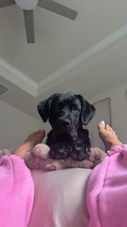 Devorah Roloff feet photo 1