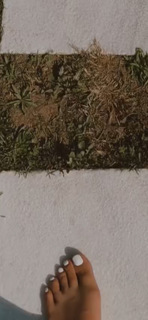 Devrim Özkan feet photo thumbnail