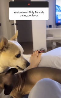 Dhasia Wezka feet photo 1