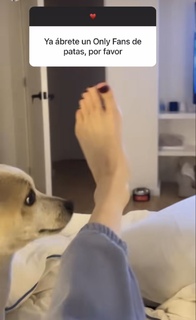 Dhasia Wezka feet photo 18