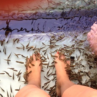 Dia Frampton feet photo 6