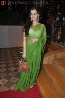 Dia Mirza feet photo thumbnail