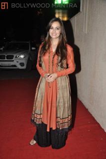 Dia Mirza feet photo thumbnail