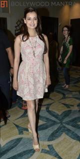 Dia Mirza feet photo thumbnail