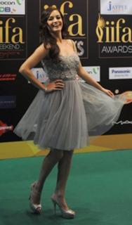 Dia Mirza feet photo thumbnail