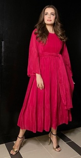 Dia Mirza feet photo thumbnail