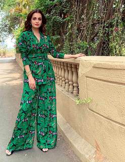Dia Mirza feet photo thumbnail