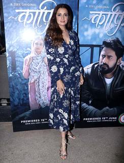 Dia Mirza feet photo thumbnail