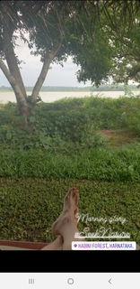 Dia Mirza feet photo thumbnail