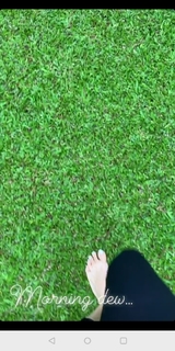 Dia Mirza feet photo thumbnail