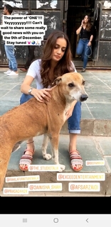 Dia Mirza feet photo thumbnail