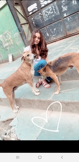 Dia Mirza feet photo thumbnail