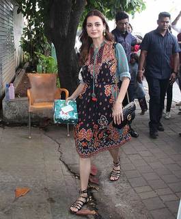 Dia Mirza feet photo thumbnail