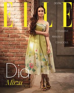 Dia Mirza feet photo 15