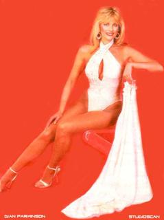 Dian Parkinson feet photo 1