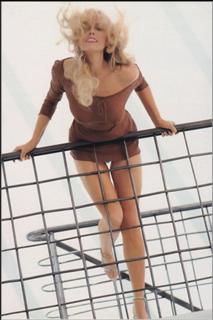Dian Parkinson feet photo 3