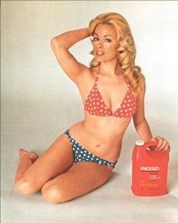 Dian Parkinson feet photo 4