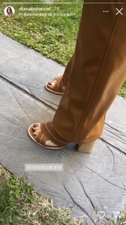 Diana Bolocco feet photo 13