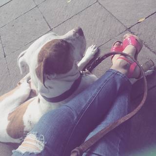 Diana Bovio feet photo 19