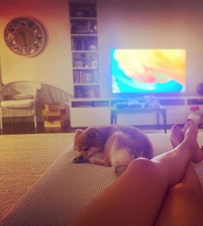 Diana Chaves feet photo 5