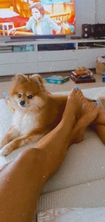 Diana Chaves feet photo 15
