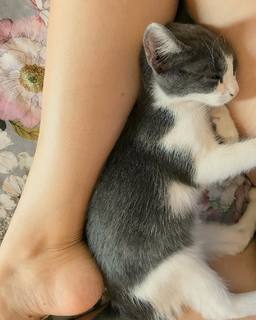 Diana Del Bufalo feet photo thumbnail