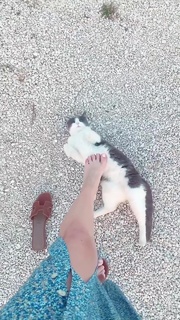 Diana Del Bufalo feet photo thumbnail