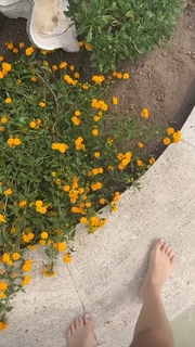 Diana Del Bufalo feet photo thumbnail