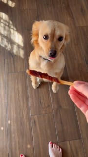 Diana Del Bufalo feet photo thumbnail