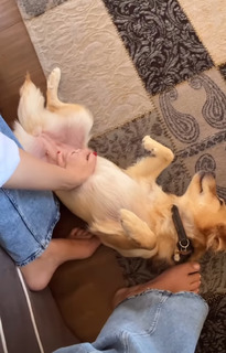 Diana Del Bufalo feet photo thumbnail