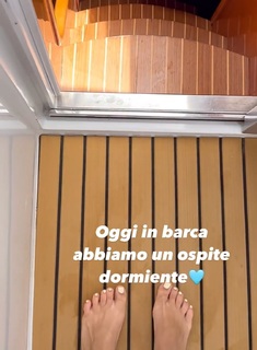 Diana Del Bufalo feet photo thumbnail