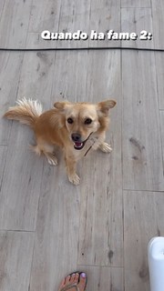 Diana Del Bufalo feet photo thumbnail