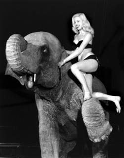 Diana Dors feet photo 14